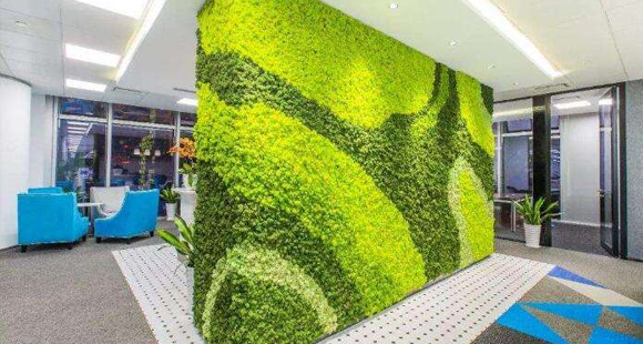 垂直绿化墙